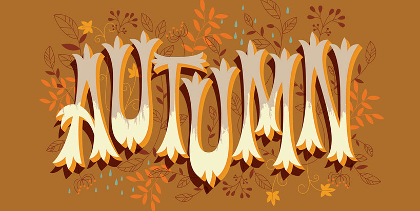 Adobe Illustrator Typography Font Design